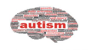 autism causes