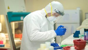 ebola lab