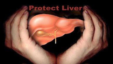 your liver